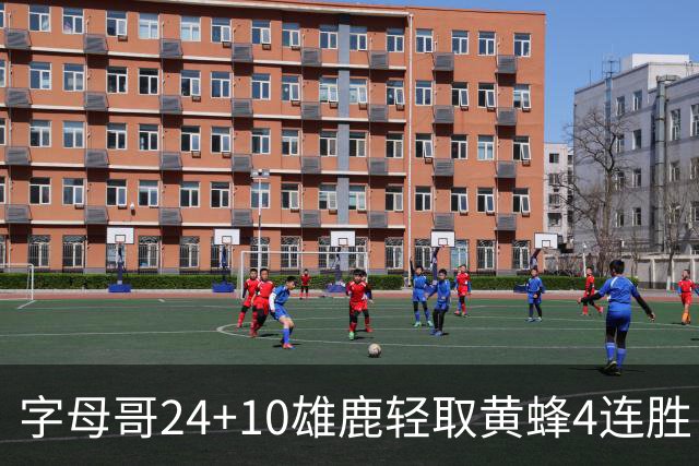 字母哥24+10雄鹿轻取黄蜂4连胜 魔术力克爵士